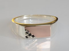 Срібний перстень печатка з накладками із золота М16 24