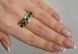 Серебряное кольцо с золотыми вставками 15