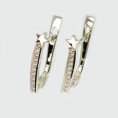 Серебряные серьги (309с)
