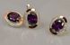 Срібний набір із золотими пластинами 037/2 15 037/2 фото 2