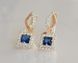 Срібні сережки з золотими пластинами 190с 190с фото 9